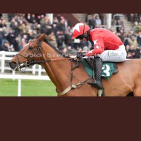 Niall Houlihan (@niall_houli) 's Twitter Profile