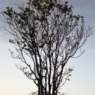 小西高央さんのプロフィール画像