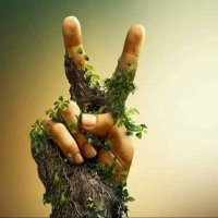 Sabri ✪ (@sbrkrks) 's Twitter Profile