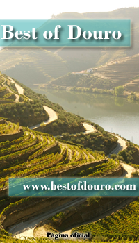 bestofdouro's profile picture. O Best of Douro é um projecto que visa compilar num único sitio tudo o que de melhor, a magnifica região do Douro tem para oferecer...