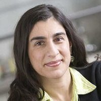 Katayoun Chamany (@katayounchams) 's Twitter Profile