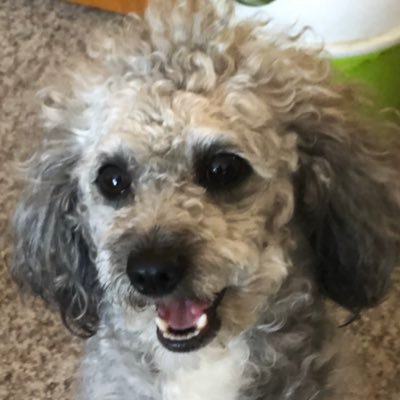 valfonso678's profile picture. 