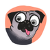 Fartpug 💨 (@fartpug) Twitter profile photo Fartpug 💨 (@fartpug) Twitter profile photo