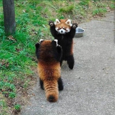 BulotEnrage's profile picture. qu’importe le flacon tant que l’on a l’ivresse