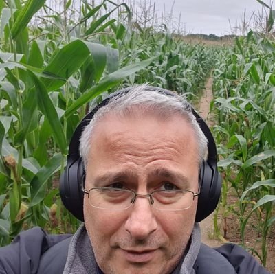 mark__peterson's profile picture. Amateur mycologist, roots loving Spurs fan.