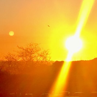 Il faut 12 jours pour aller de Kyoto à Kamakura… si tu fais demi tour le 11e jour tu ne verras jamais le soleil se lever sur le mont Fudgi ! #1max2trains