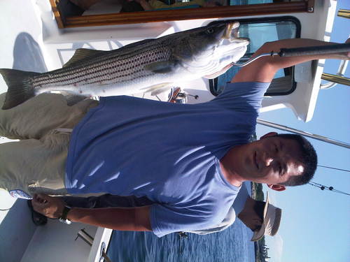 hongl234's profile picture. work hard play hard, live life one day at the time.