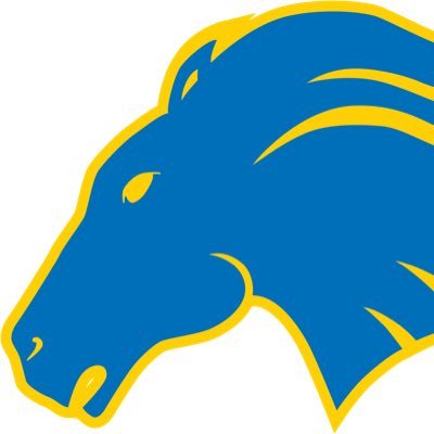 The OFFICIAL home of the 36x state champion Marian Athletics. Mentioning Mustangs athletics? Use #MarianStrong!