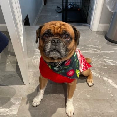 ImNaatsuko's profile picture. Twitch streamer | Content Creator Making BF2 Content