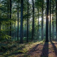 , (@getouttahere145) 's Twitter Profile