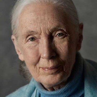 Visit Jane Goodall Institute Australia Profile