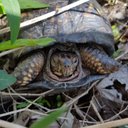 Wes Clark - @WesClar79304165 - Twitter