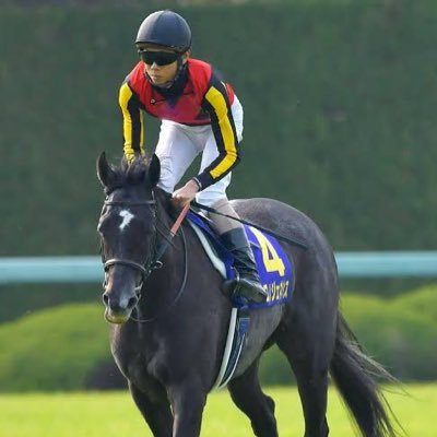 とにかくトウカイテイオーLOVE、得意な馬場は東京競馬場、フォロワー募集、ギャンブル？投資？稼ぐぞ、同志達よ！！