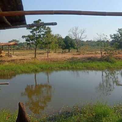 3mzSU1z1aE1LMkr's profile picture. 😻😻