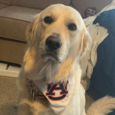 Auburn University and big white Sox fan