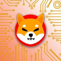 Cryptonaut (@cryptoverse69) 's Twitter Profile