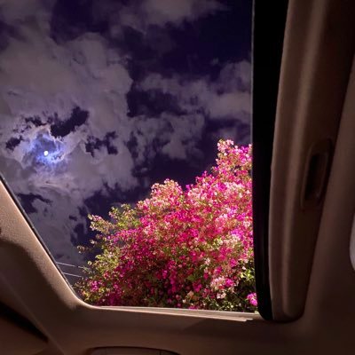 Tr_14900's profile picture. 