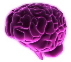 TeamChewy's profile picture. Undisputed brain-trust of comedian @ChetWild.