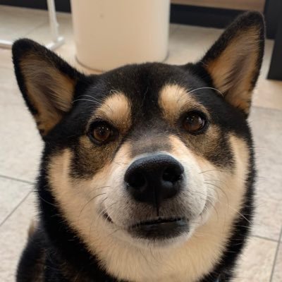 KOIKE-donさんのプロフィール画像