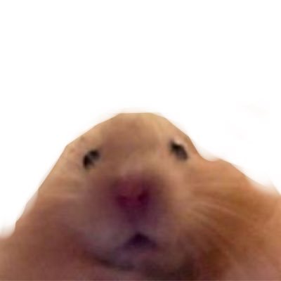 ohiruneのプロフィール写真