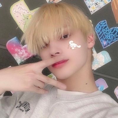 shutup im adopting cats with vernon (Very ia im sorry)