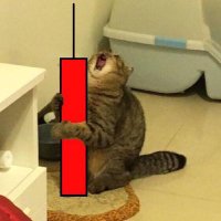 sad crypto memer (@0xpolygone) 's Twitter Profile