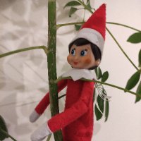 Patrick S (@patricknshaw) 's Twitter Profile