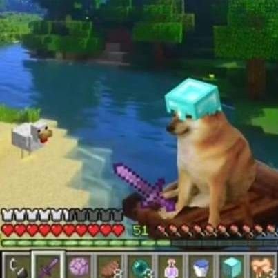 AngelMo05259955's profile picture. 