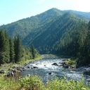 Jane Fore - @healingdoc4u - Twitter