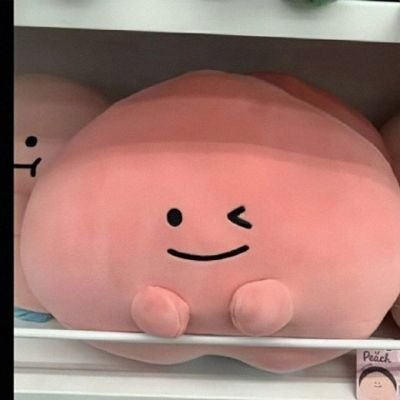 Rachel639968953's profile picture. 