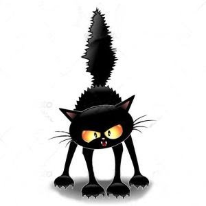 _Thierry_13_'s profile picture. Par principe, pas d'accord avec ceux qui sont d'accord.