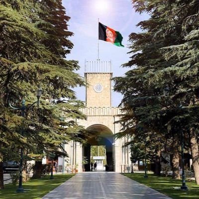 BasyaWaheed's profile picture. 