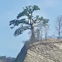 Info Via a La Costa 🔍 (@infovialacosta) 's Twitter Profile Photo