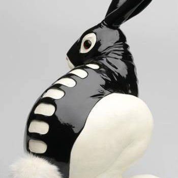 DoyleMeridian's profile picture. 送我上青云。