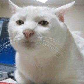 KhariseLei's profile picture. main acc:@kharisedichoso