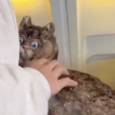 ilcarlino's profile picture. ‘Remember when’ is the lowest form of conversation