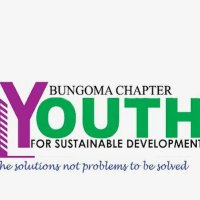 Bungoma YSD(@YsdBgm) 's Twitter Profile Photo