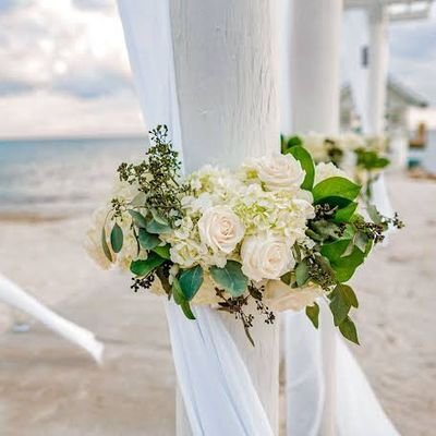 rhfdhkrtk's profile picture. apaya gatau