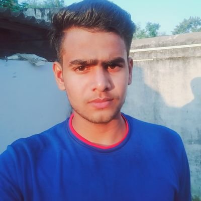 berojgar8949's profile picture. 