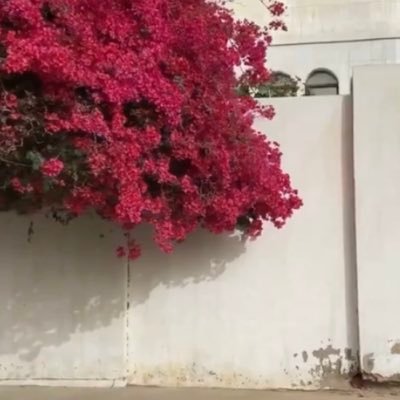 D763738383773's profile picture. الخاص حظر❌❌❌