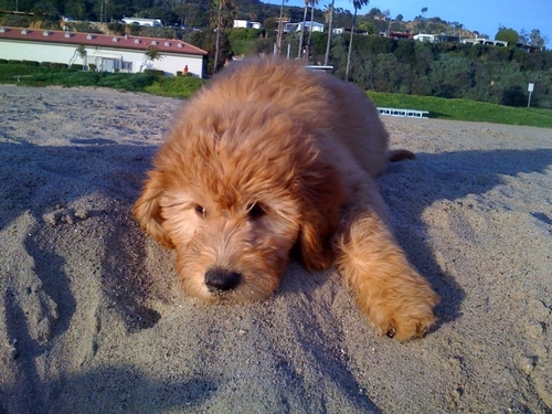 DeannaMadden's profile picture. 