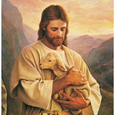 Revista católica La oveja perdida. Artículos y reflexiones sobre la fe. 
¡Paz y bien para todos!