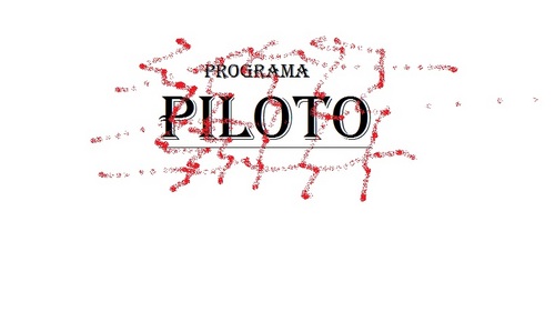 programapiloto1's profile picture. 