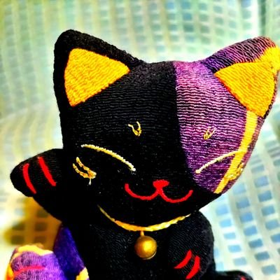 Shin Nemotoさんのプロフィール画像