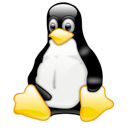 Linux Kernel Log