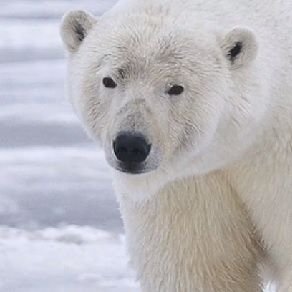 DrTyobi's profile picture. 