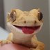 나흘🦎🐌 (@4_day2) Twitter profile photo 나흘🦎🐌 (@4_day2) Twitter profile photo