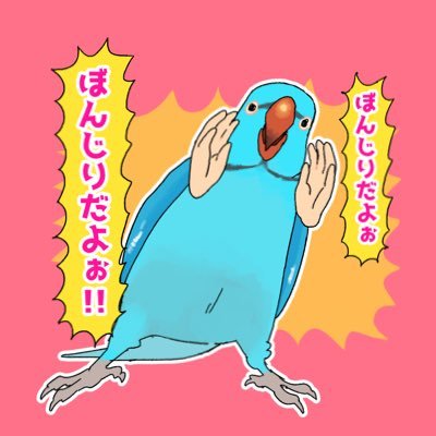 2021年1月からワカケホンセイインコの男の子ぼんじりの飼育に奮闘中の飼い主、めーです。鳥の飼育初心者。みなさまのツイートなど参考にさせていただいてます。たまに相方の飼うオカメインコのおるちゃんも。