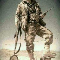 M.Masoud (@mohmasoud0) 's Twitter Profile