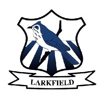 Larkfield Primary School Profile